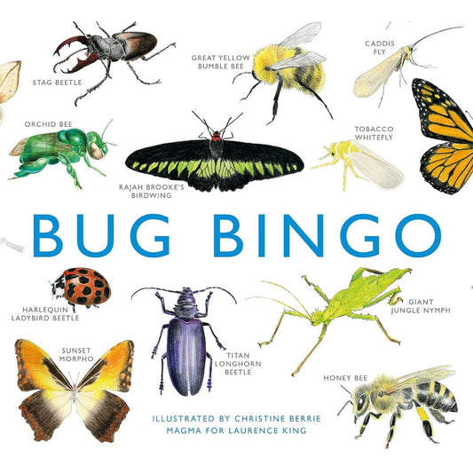 Bug Bingo