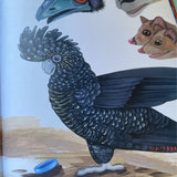 The Black Cockatoo With One Feather Blue by Jodie McLeod, illustrated by Eloise Short