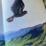 The Black Cockatoo With One Feather Blue by Jodie McLeod, illustrated by Eloise Short