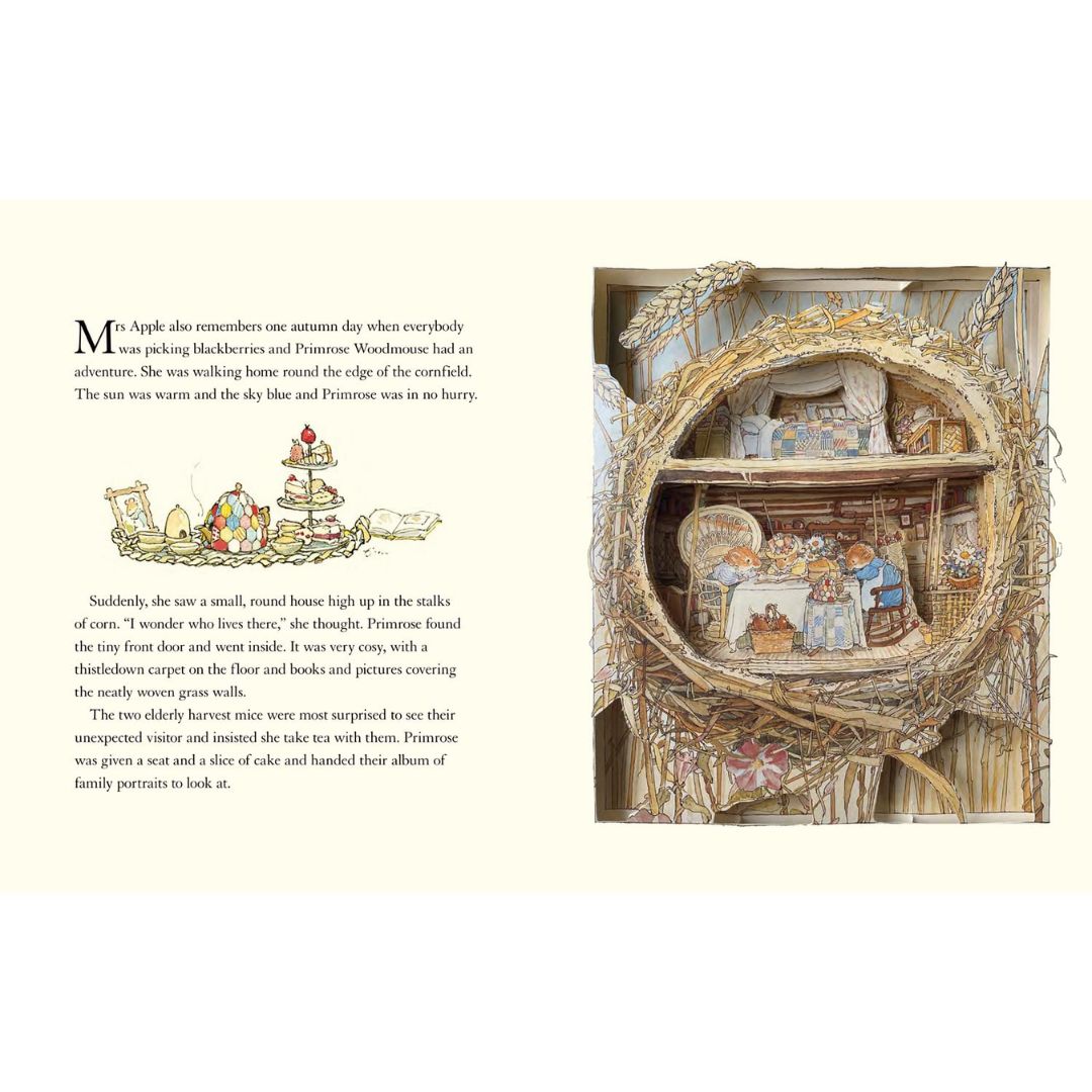 The Brambly Hedge Pop-Up Book