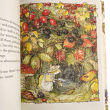 The Complete Brambly Hedge